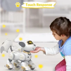 ربات کنترلی هوشمند کد BG1533