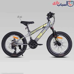 Alternative view of دوچرخه DISC-TR-MAX-S سایز 20 کد 20148
