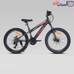 Alternative view of دوچرخه DISC-TR-MAX-S سایز 24 کد 2443