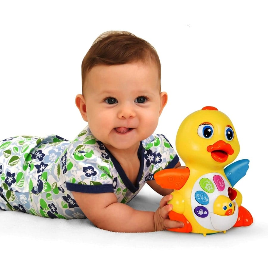 جوجه اردک هولی تویز کد 808 - تصویر 12
